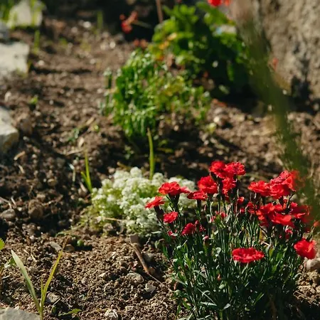 βίλλα φανούλα Fanoula Villa