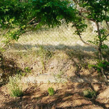 βίλλα φανούλα Fanoula Vila *