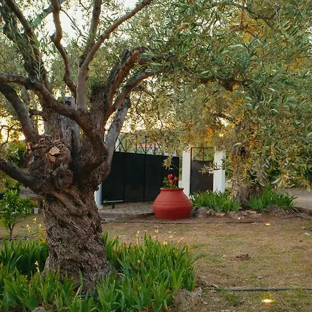 Vila βίλλα φανούλα Fanoula Chorto