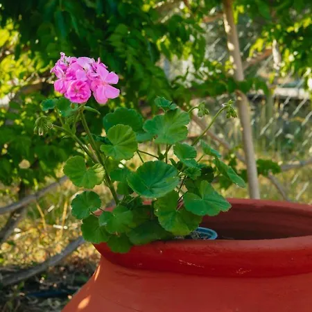 βίλλα φανούλα Fanoula Villa *