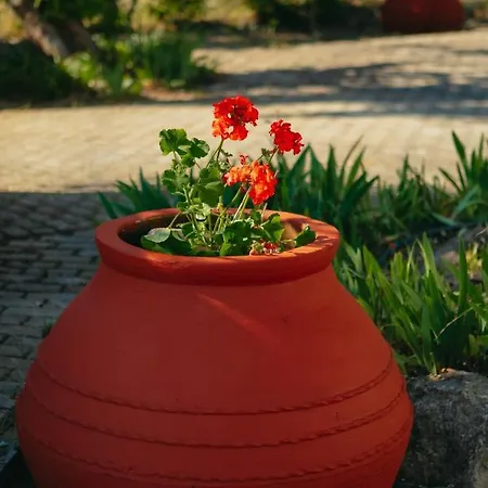 βίλλα φανούλα Fanoula *