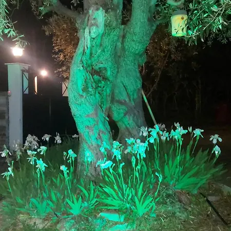 βίλλα φανούλα Fanoula Villa