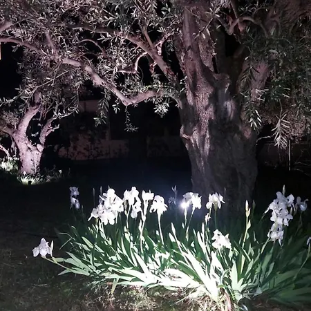 Villa βίλλα φανούλα Fanoula *