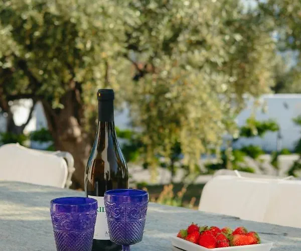 βίλλα φανούλα Fanoula 别墅