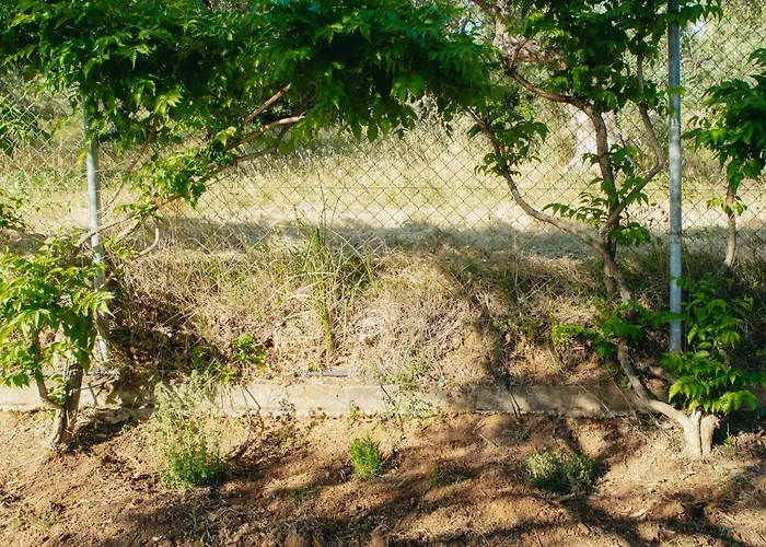 βίλλα φανούλα Fanoula 别墅 *