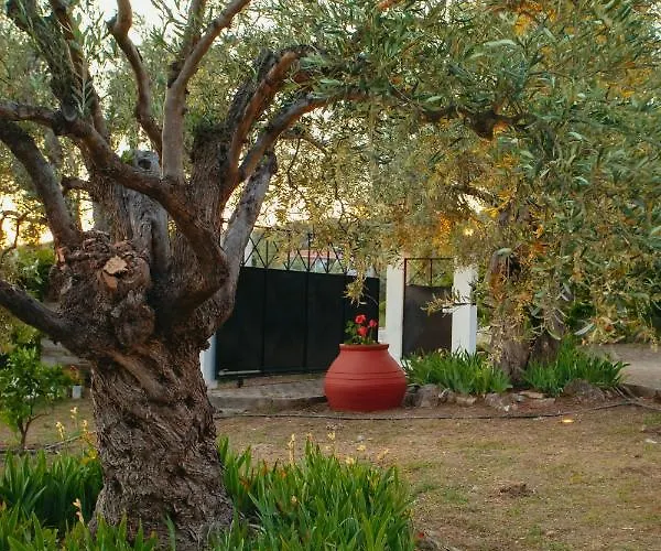 别墅 βίλλα φανούλα Fanoula 寇特