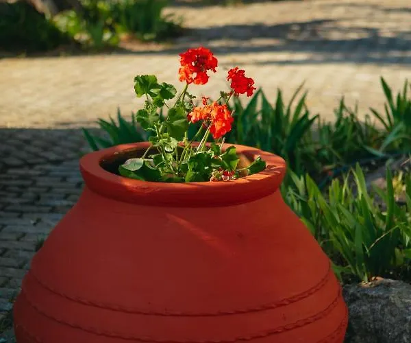 βίλλα φανούλα Fanoula *